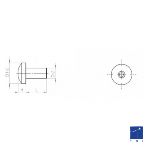 Vis autoformeuse à métaux tête cylindrique bombée 6 lobes Internes DIN 7500C TORX M3 X 0.50 X 10mm acier cémenté zingué blanc