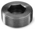 Tapón de vaciado sin cabeza DIN 906 1 GAS acero cl.5.8 crudo